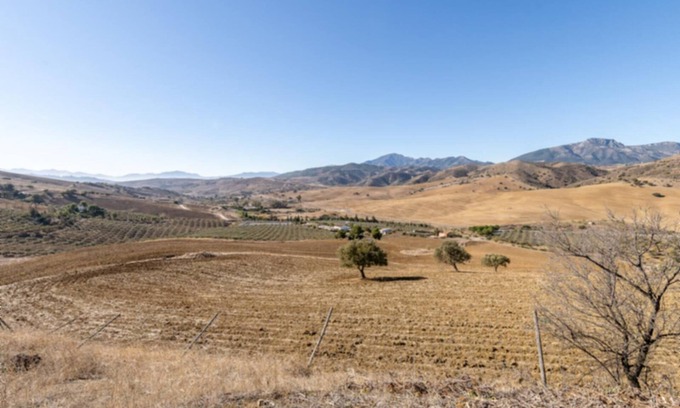 Fuengirola Other | CT 131 Campo Dream en Alora