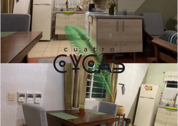 Tlajomulco de Zuniga Resort | Cuatro Cycas