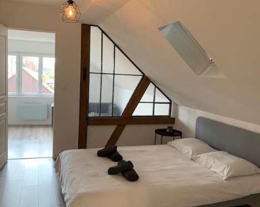 Horbourg-Wihr Apartment | Cute apartment near Colmar