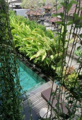 Babakan Hotel | D'tegal Guest House-Tropical Stay with Hanging Plants & Pool in Canggu