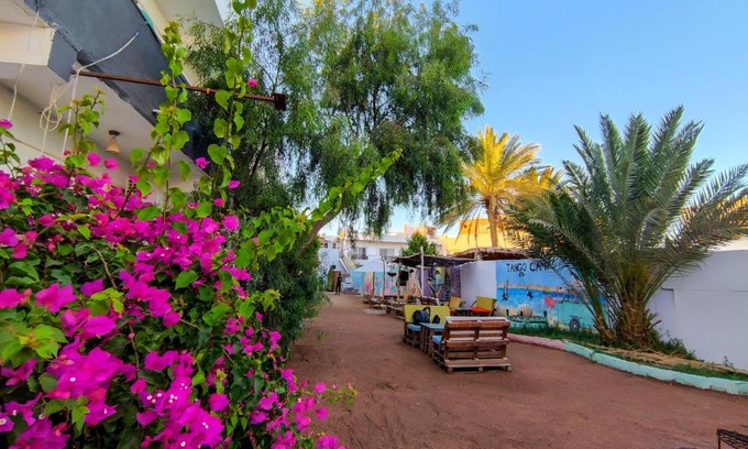 Dahab Hotel | DAHABIA CAMP