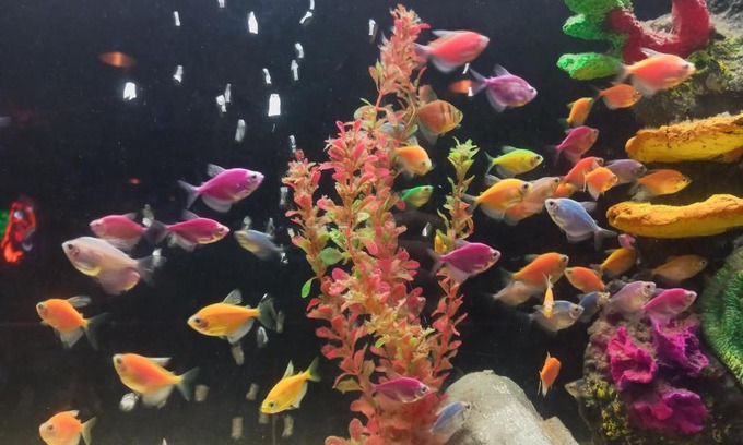 Bogota Apartment | Daniels property