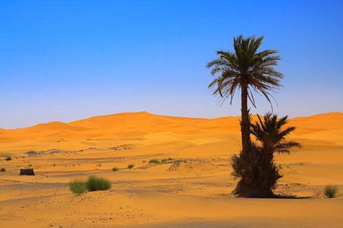 Hassilabied Bed & Breakfast | DAR AMMAR Hassilabiad-Merzouga