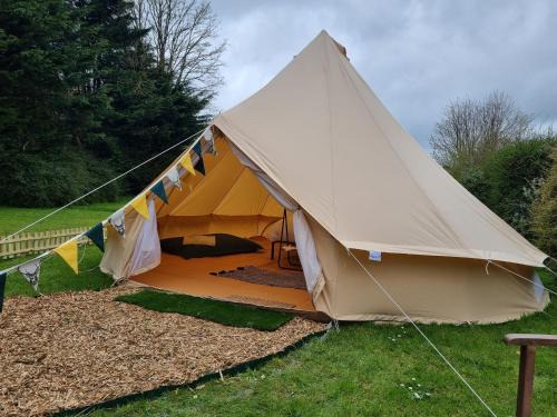 Liverton Other | Dartmoor Halfway Campsite
