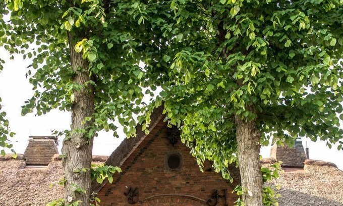 Nieblum House | Das Kommandeur Haus - Ihr Familien-Ferienhaus in Nieblum auf Föhr