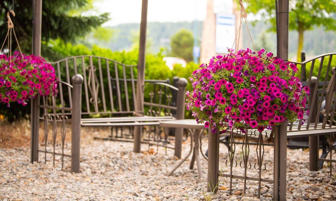 Coeur d'Alene Hotel | Days Inn by Wyndham Coeur d'Alene
