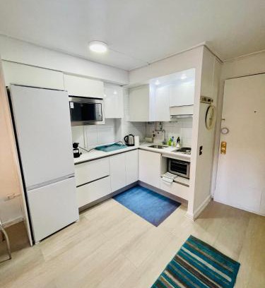 Santiago Apartment | Departamento mall costanera