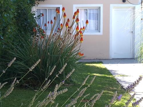 Los Antiguos Apartment | Departamento por día ruta 41