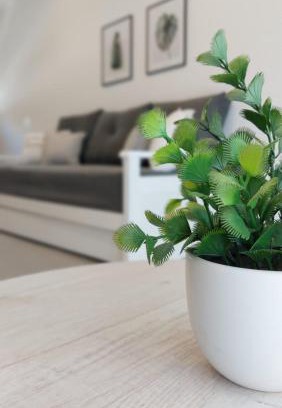 Necochea Apartment | Departamentos del Trébol