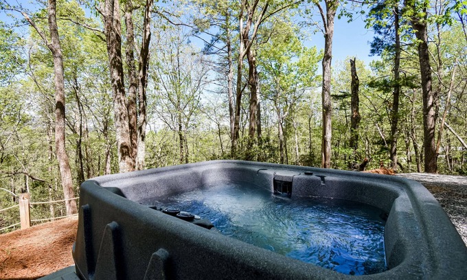Clarkesville Cabin | Designer hideaway in secluded location w/ amazing mountain-forest-view-Dogs ok