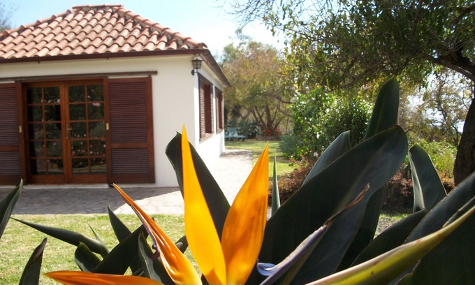 El Paso House | Detached house with large garden and sea views, Los Llanos within walking distance