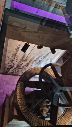 Samtens Apartment | Die Mühle Appartements