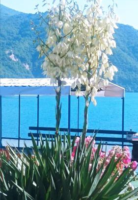 Konjic Apartment | Dina apartman Jablaničko jezero