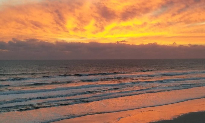 Daytona Beach Shores Condo | Direct Oceanfront - Most Colorful Condo On Beach