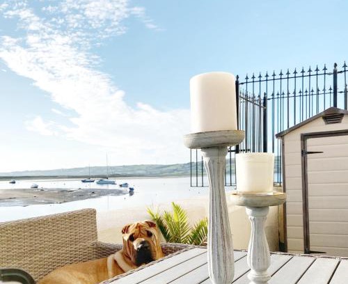 Dungarvan Apartment | Dog-friendly Seaview Apartment