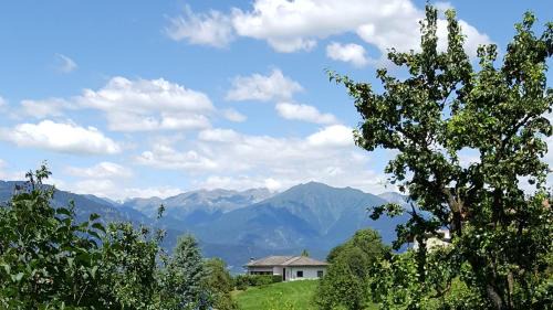 Predaia Apartment | Dolomites White Rest Tres