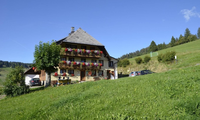 Todtnauberg Apartment | Doppelzimmer Ebnehof mit Balkon