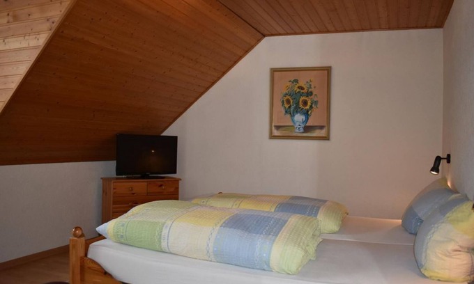 Trittenheim Bed & Breakfast | Double Room Shower/WC - Weingut-Gästehaus Hermes-Lex