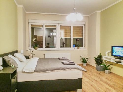 Inner City Budapest Apartment | Dove Budapest | Apartment
