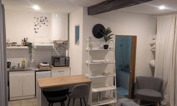 Saint-Michel Apartment | Downtown studio with private patio