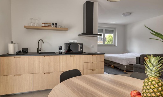 Ljubljana Apartment | Dragon Residence