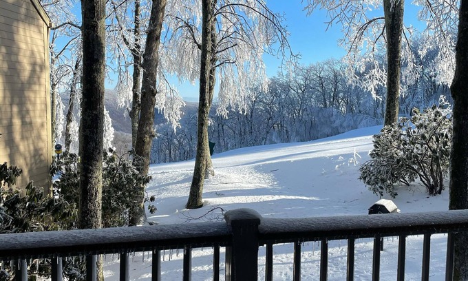 Wintergreen Condo | Eagles Court Ski In/Ski Out Condo with Walkable Location & Mountain Views!