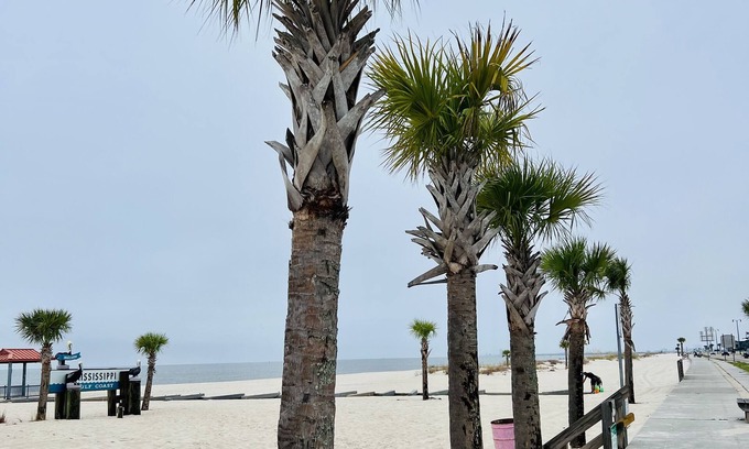 Gulfport House | Easy beach access, pool, private hot tub, family sized 3 BR townhome