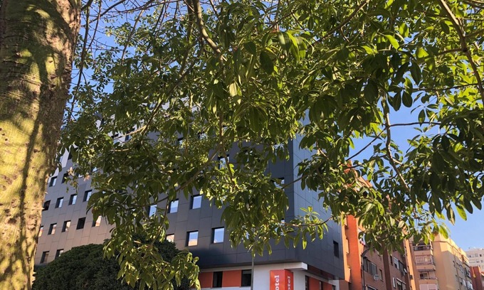 Explanada de la Estacion House | easyHotel Málaga City Centre