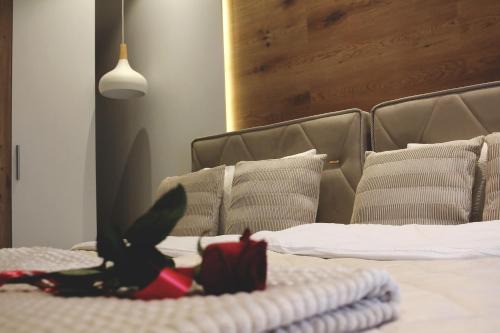 Novi Pazar Apartment | Ecco Superior