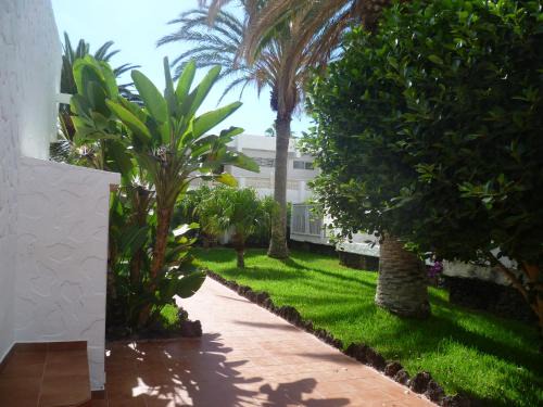 Arona Apartment | Elana Apartment with FREE WIFI