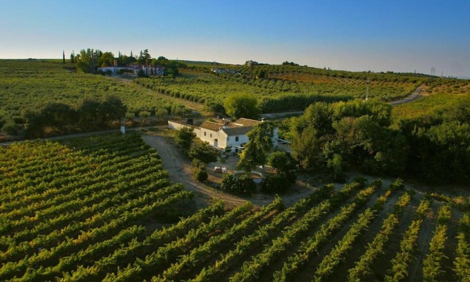 Montilla Villa | Elegant Villa in Montilla with Private Pool