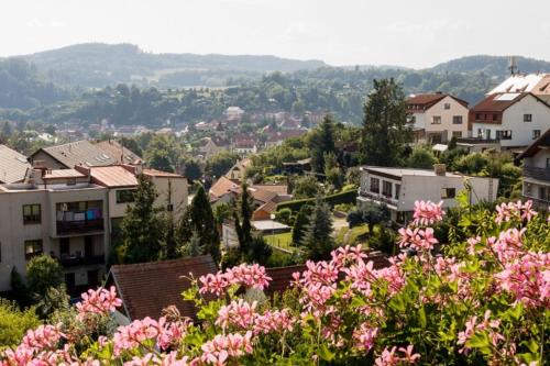 Cesky Krumlov Bed & Breakfast | Element