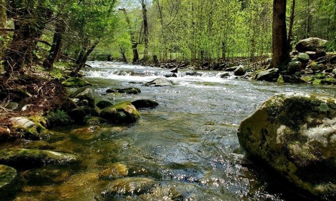 Cosby Cabin | Elk Run On Cosby Creek by RedAwning