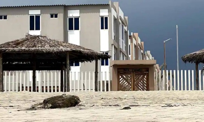 Playas Condo | Escapate mirando el Mar Beach Front Apt Playas Ecu