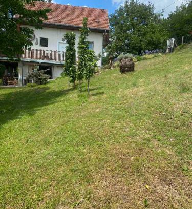 Central Serbia House | Etno vikendica Miokovci