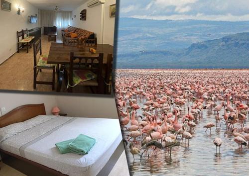 L'Eucaliptus Apartment | Eucaliptus, Bonito piso a pocos pasos de la playa Delta de l'Ebre