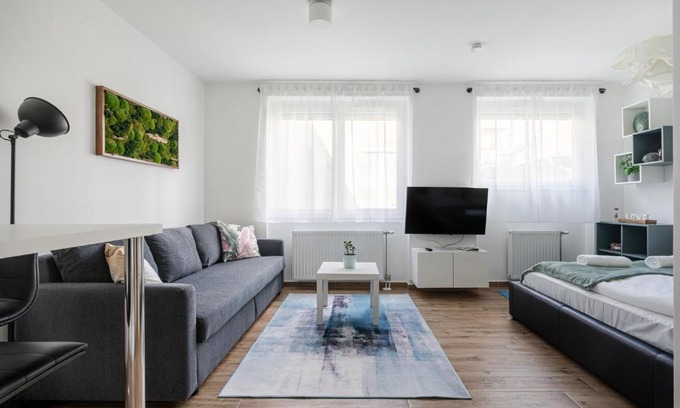 Csarnok negyed Apartment | Everwood Studio with AC