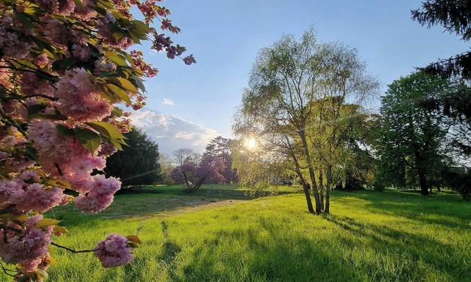 Benais House | Exceptional pavilion with direct access to the grounds of the Château Royal de Benays