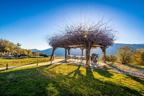Ahwahnee House | Fairy Tale 13-acre Sunset Villa at Windy Gap Valley near Yosemite