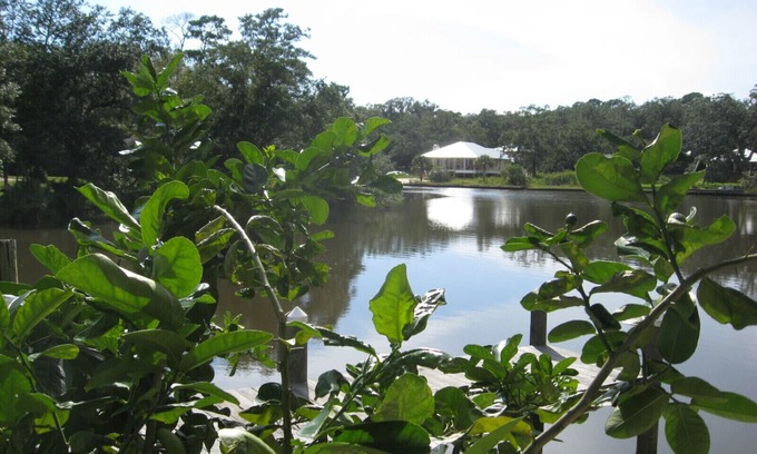 Foley Cabin | Fall and Winter are coming. Looking for Snowbirds and Fishermen! Great Rates!