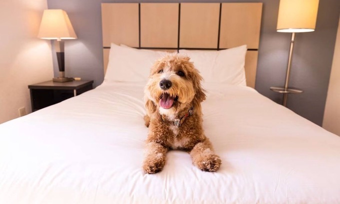 Braintree Hotel | Family-Friendly Stay | Kitchens Near Freedom Trail & Quincy Market | 3 Units
