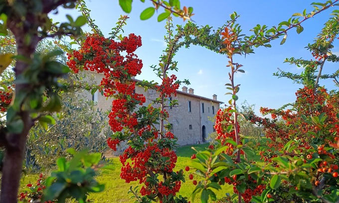 Assisi House | Farmhouse The Canticle of Tenderness
