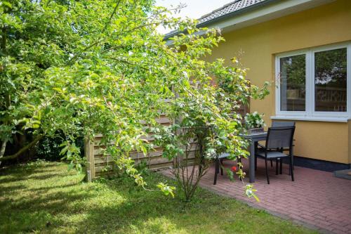 Puttgarden Apartment | Fehmarn-Ostseeferien Apfelblüte 199 1