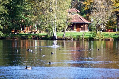 Schontal Apartment | Felsenland Apartment