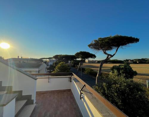 Lavinio Lido di Enea Apartment | FELYX APARTMENT - Bright, Spacious, and 100 mt from the waves - Lavinio Mare