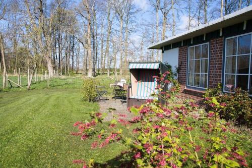 Gohl Apartment | FerienGut Gaarz - Im Park 3