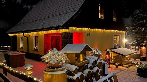 Oberwiesenthal Apartment | Ferienwohnung-direkt-am-Skihang mit Sauna