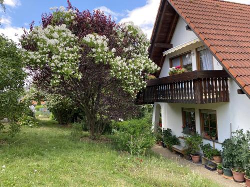 Loffingen Apartment | Ferienwohnung Birkenberger