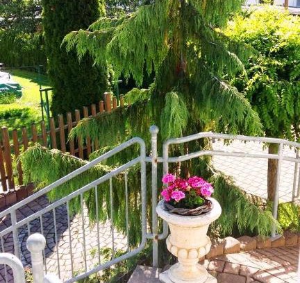 Traben-Trarbach Apartment | Ferienwohnung Eigner
