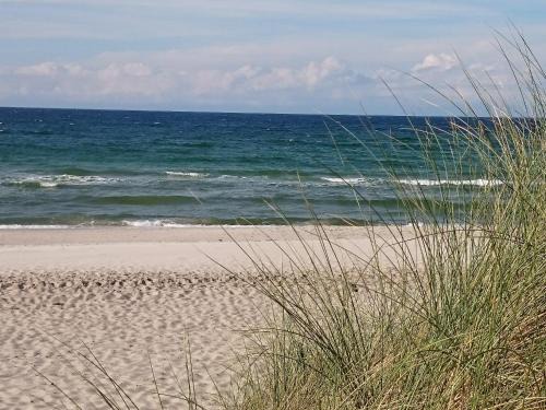 Ostseebad Dierhagen Apartment | Ferienwohnung Mone